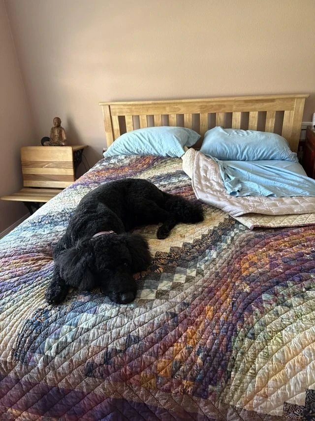 A verified buyer’s own photo of their sheets